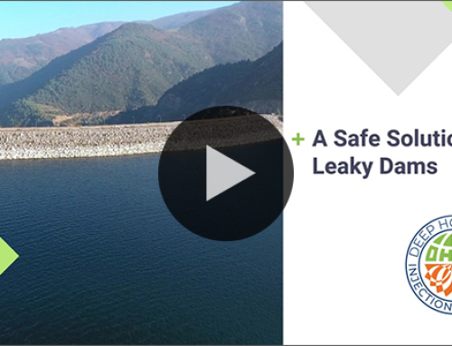 A Safe Solution for Leaky Dams